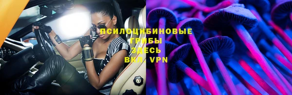 Альфа ПВП Новозыбков