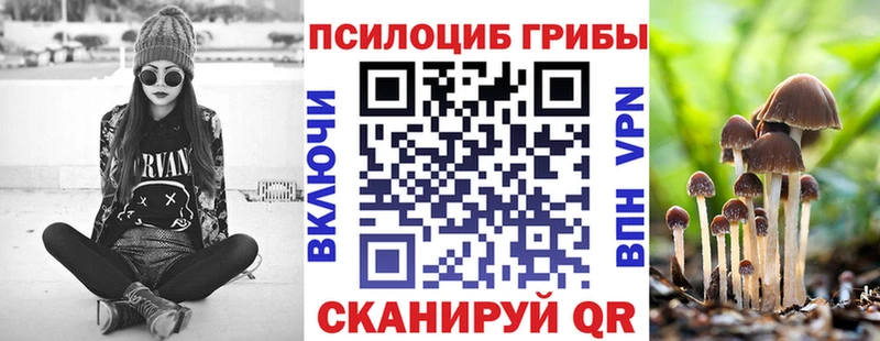 Галлюциногенные грибы Magic Shrooms  купить наркотик  Струнино 